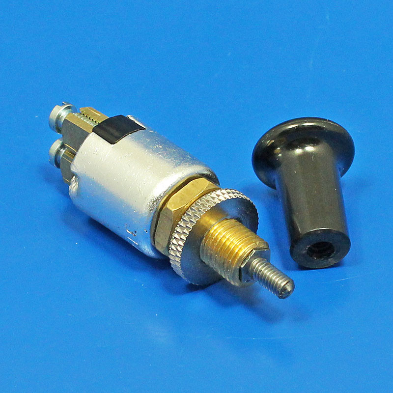 Armaturenbrett-Push-Pull-Schalter SPB104